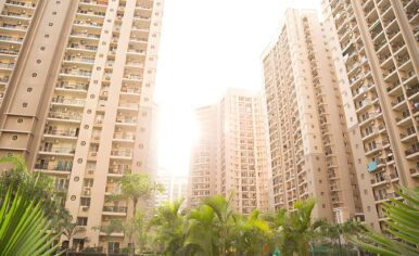 steptodown.com148288