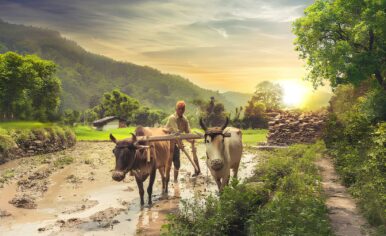 steptodown.com175224